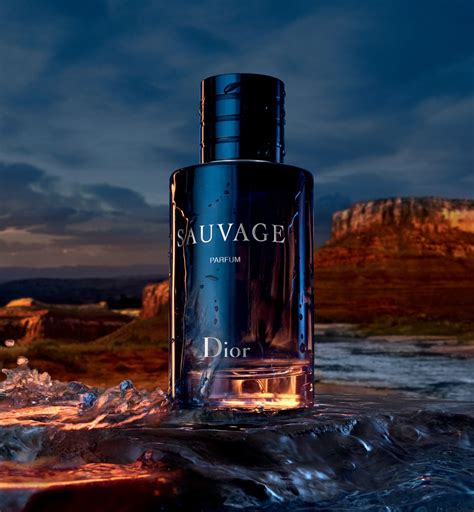 best version of dior sauvage|Dior Sauvage knockoff.